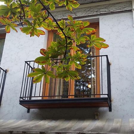 Gimi Vendeghaz Hotel Baja Bagian luar foto