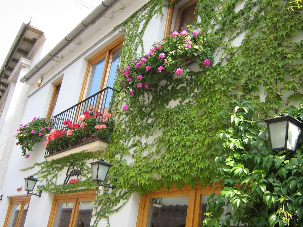 Gimi Vendeghaz Hotel Baja Bagian luar foto