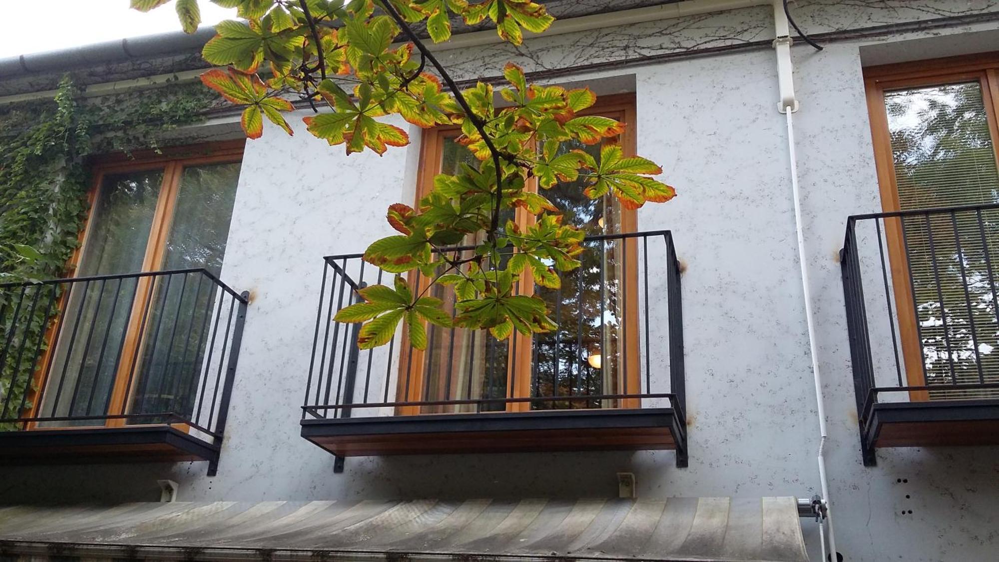 Gimi Vendeghaz Hotel Baja Bagian luar foto